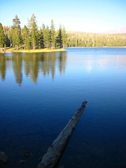 f0068883_17181535.jpg