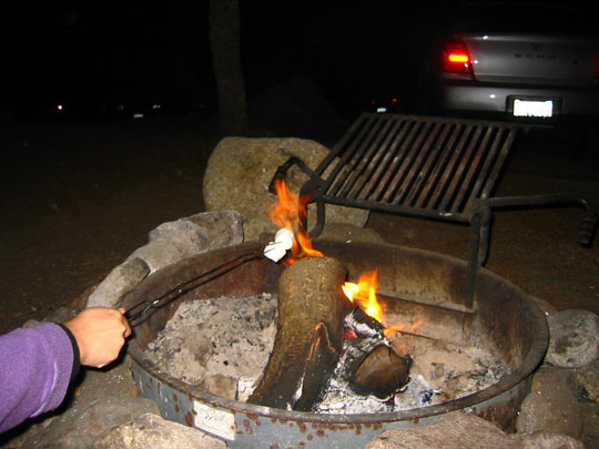 f0068883_1723436.jpg