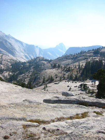 f0068883_1752531.jpg
