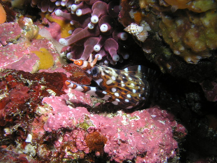 d0034291_22395549.jpg