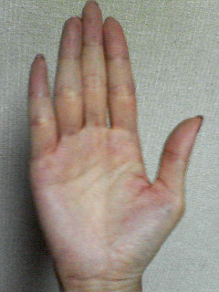 f0038892_153087.jpg