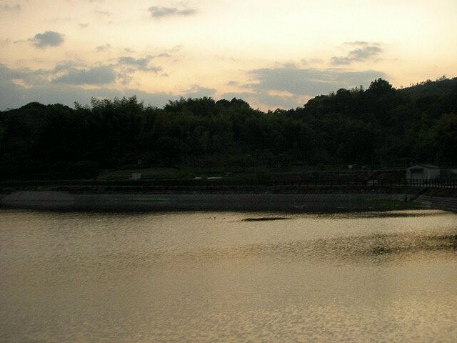 f0083400_17285832.jpg