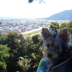 c0036617_2116870.jpg
