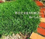 f0079722_21173118.jpg