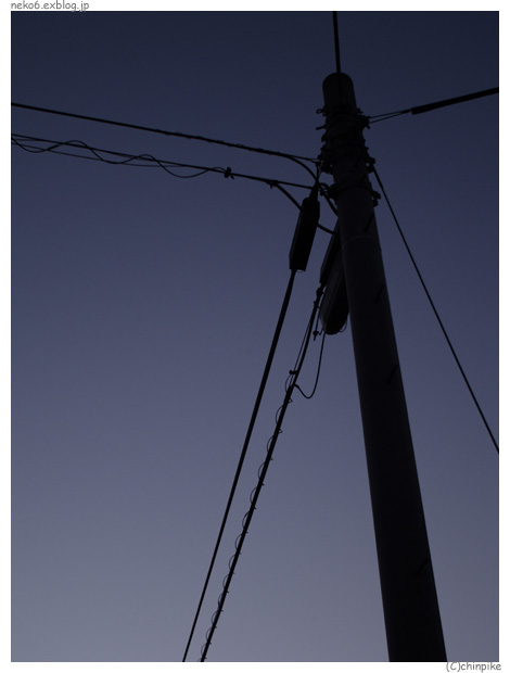 b0001124_644640.jpg