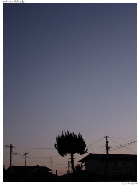 b0001124_64578.jpg
