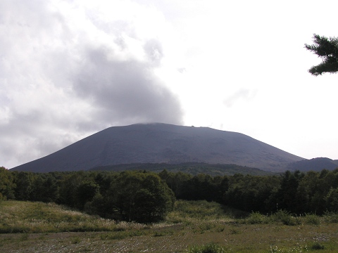 d0046531_2246835.jpg