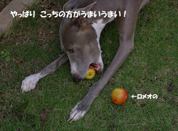 c0087047_20361629.jpg