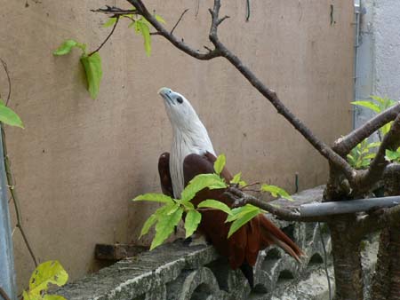 b0049152_8471146.jpg