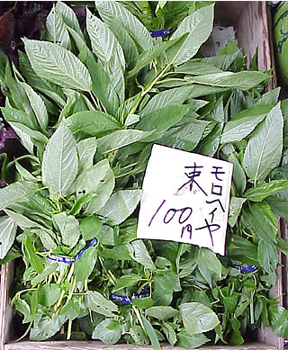 b0093261_2346165.jpg