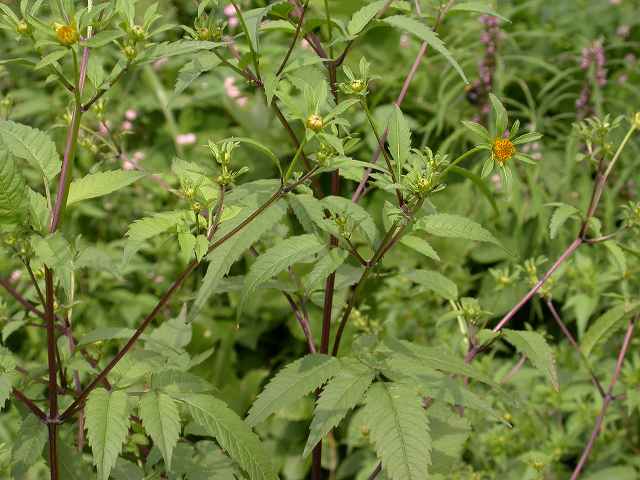 b0104861_2157856.jpg