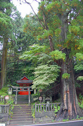 c0052470_1446295.jpg