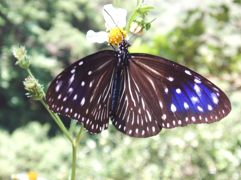 f0083281_1874570.jpg