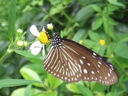 f0083281_188399.jpg