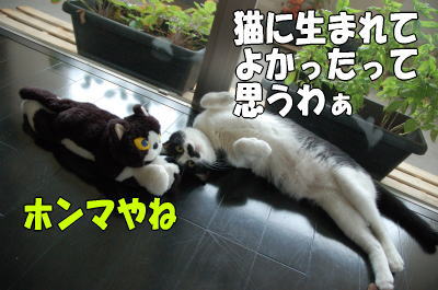 b0041182_2239513.jpg