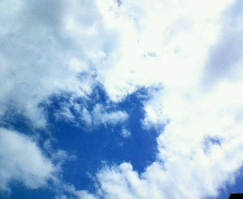 f0022982_3153238.jpg
