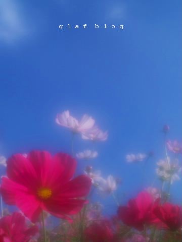 b0056790_734158.jpg