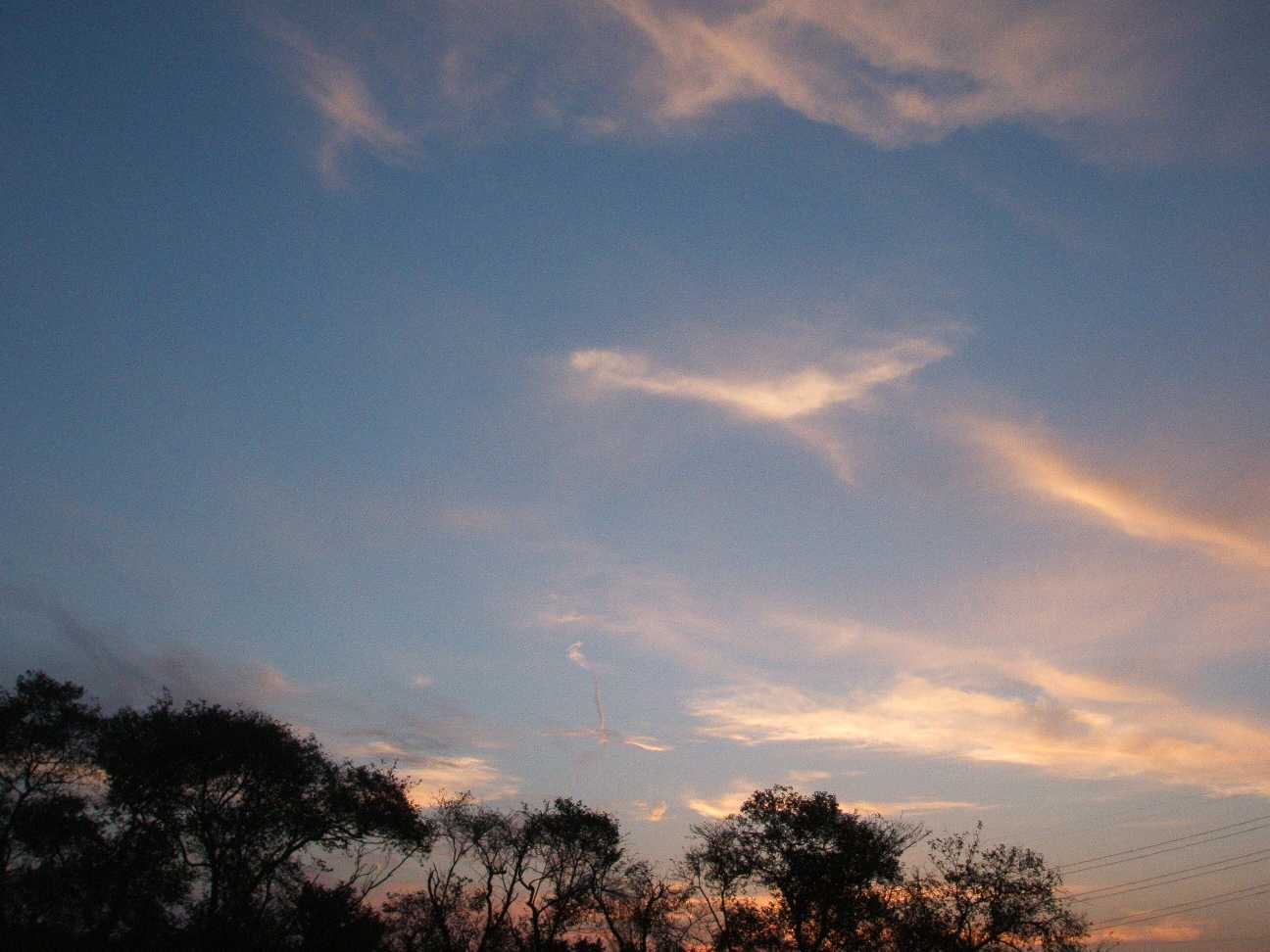 f0079190_21291735.jpg