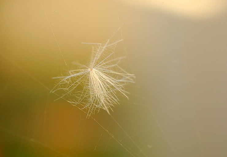 a0062697_22141286.jpg