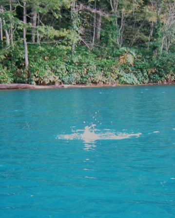 e0035597_21494841.jpg