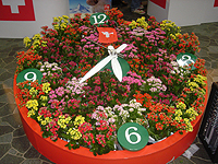 d0029198_23435293.jpg