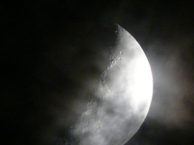 a0067201_2275457.jpg
