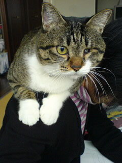 c0035001_123012.jpg