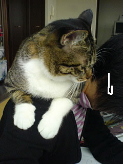 c0035001_12305072.jpg