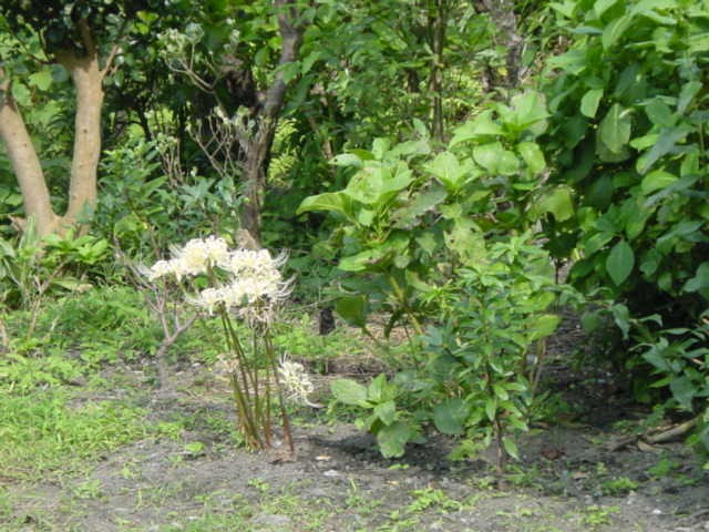 b0083902_23205641.jpg