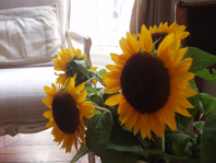 c0086320_4603.jpg