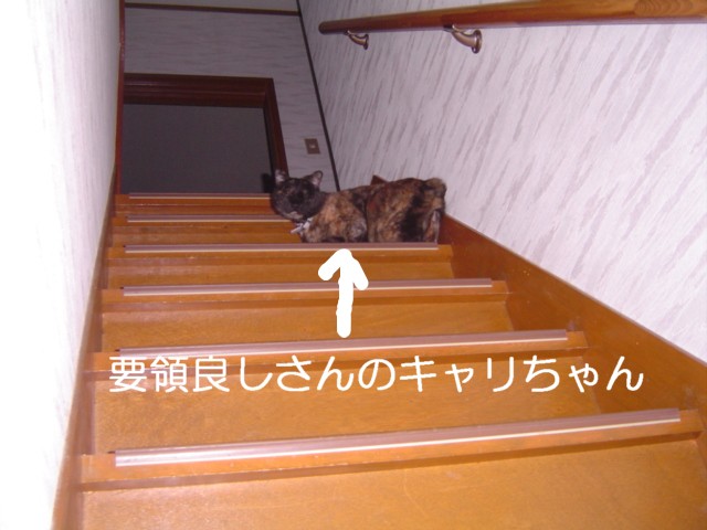 f0012924_12512387.jpg