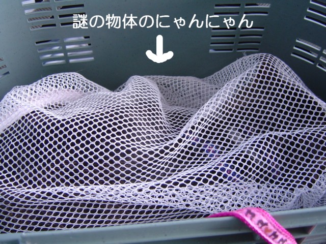 f0012924_1251320.jpg
