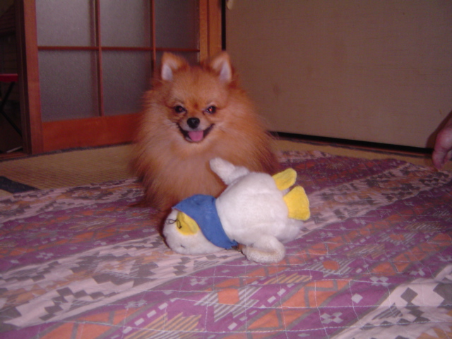 f0012924_12524199.jpg