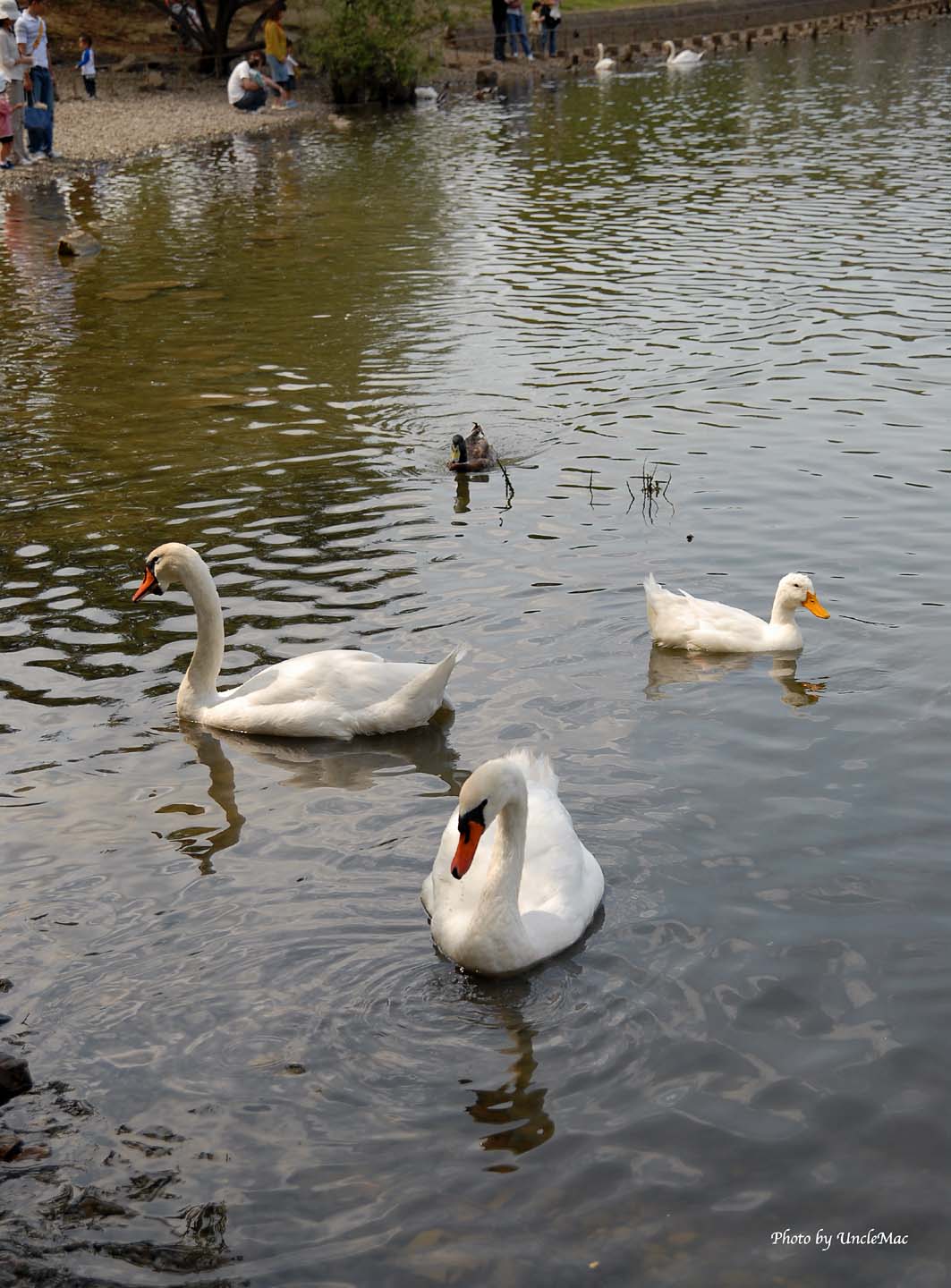 e0028625_2013776.jpg