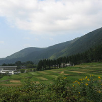 d0033734_11213894.jpg