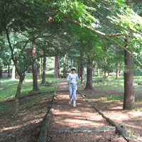 d0033734_11225844.jpg