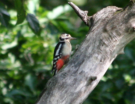 d0069235_041011.jpg
