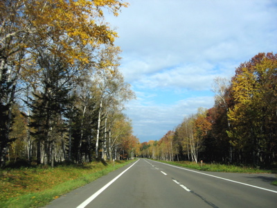 d0085939_924756.jpg