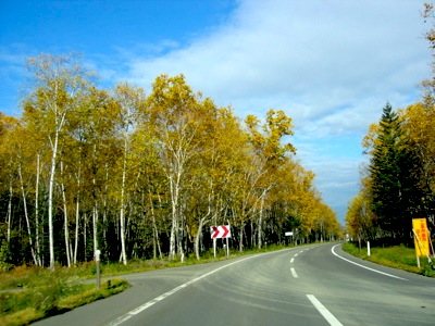 d0085939_972432.jpg