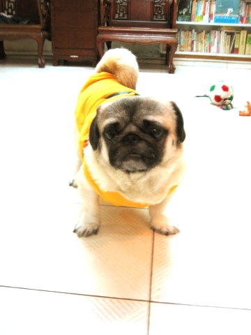 e0018143_0425342.jpg