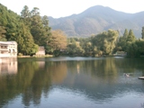 c0072647_130159.jpg