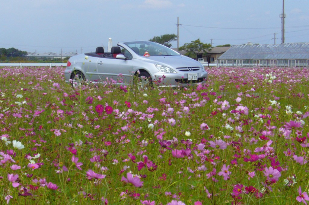 f0091250_2134151.jpg