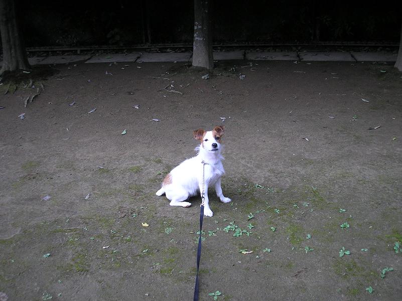c0062954_13511642.jpg