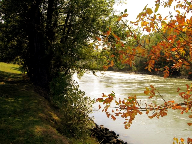 a0073357_21303071.jpg