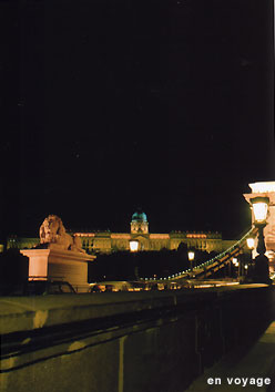 d0080167_171969.jpg