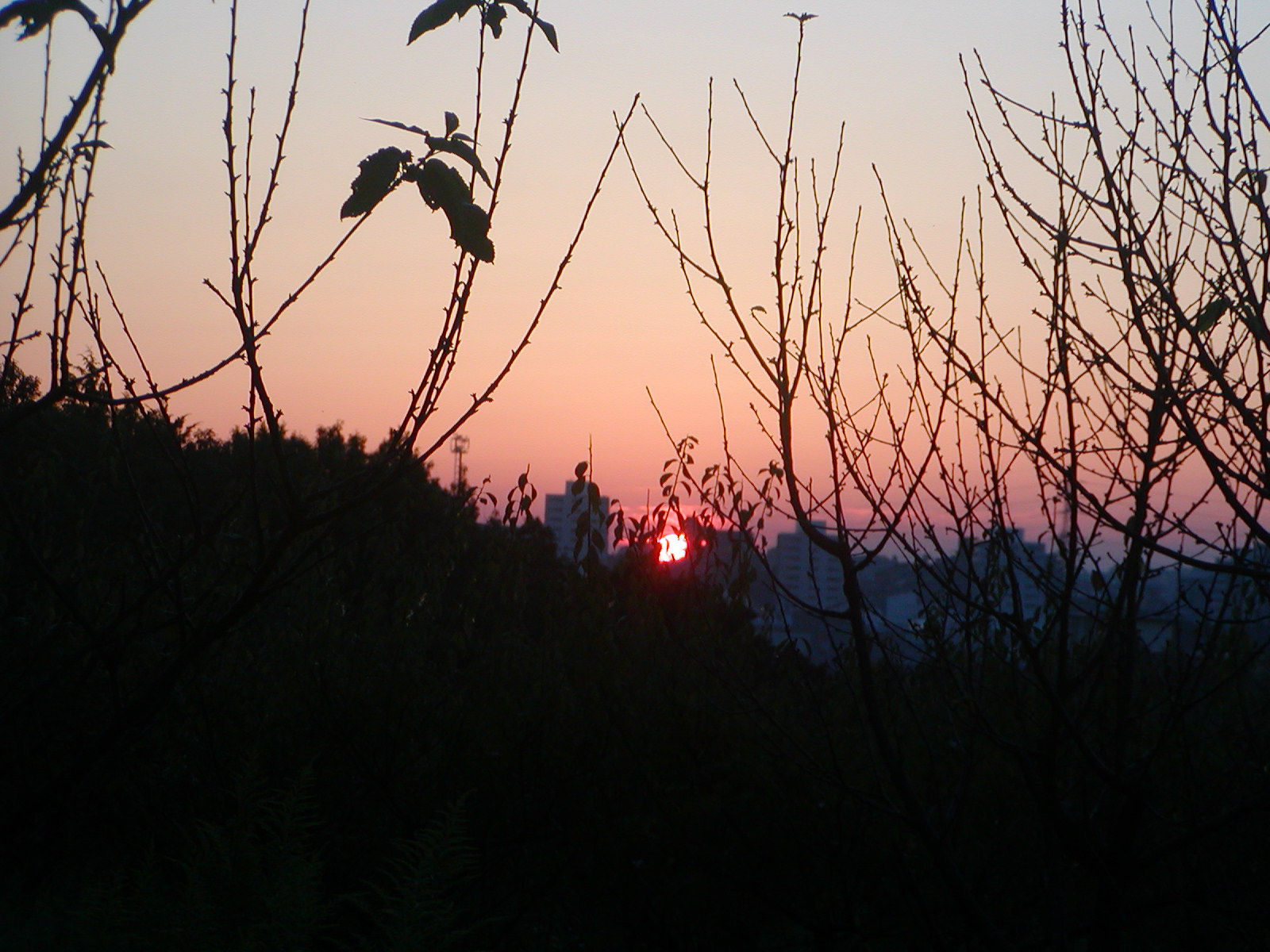 c0087175_13394073.jpg