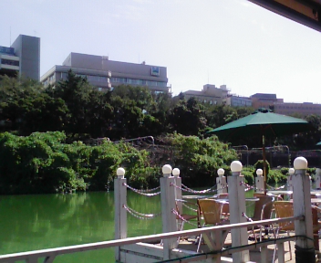 f0054677_8323915.jpg