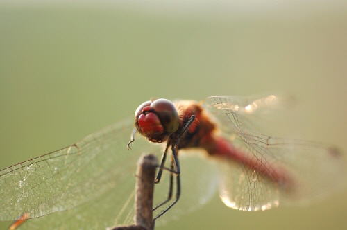 d0063278_23415151.jpg