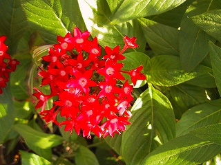 b0073782_0143575.jpg