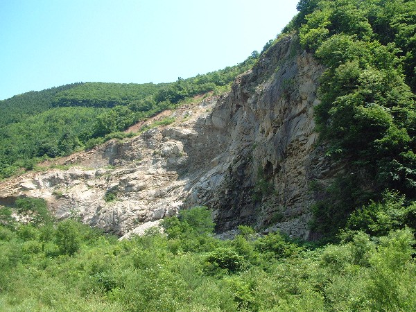 d0085096_1753754.jpg